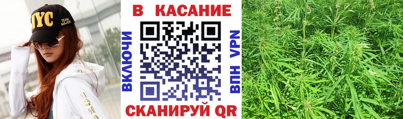 Виды наркотиков купить Циолковский Марихуана  ГЕРОИН  A-PVP  Мефедрон  ГАШИШ  КОКАИН 