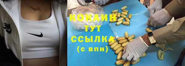 стаф Балахна