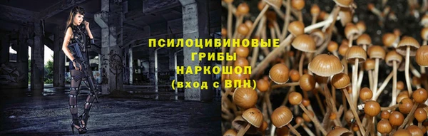стаф Балахна