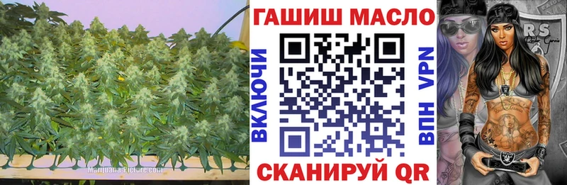kraken зеркало  закладка  Циолковский  ТГК вейп с тгк 