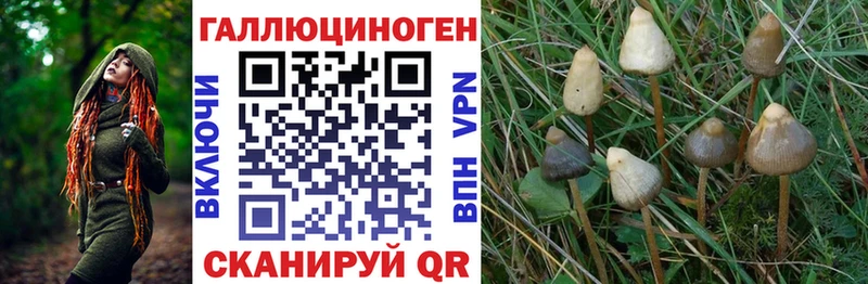 Псилоцибиновые грибы GOLDEN TEACHER  Циолковский 
