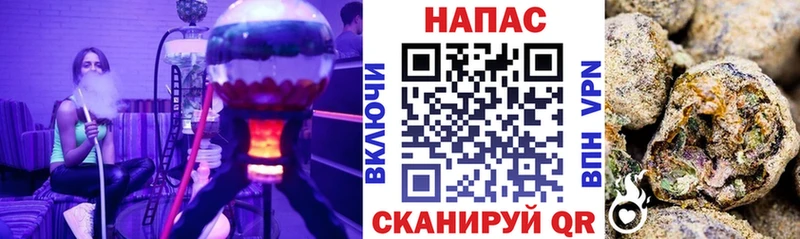 Каннабис гибрид Циолковский
